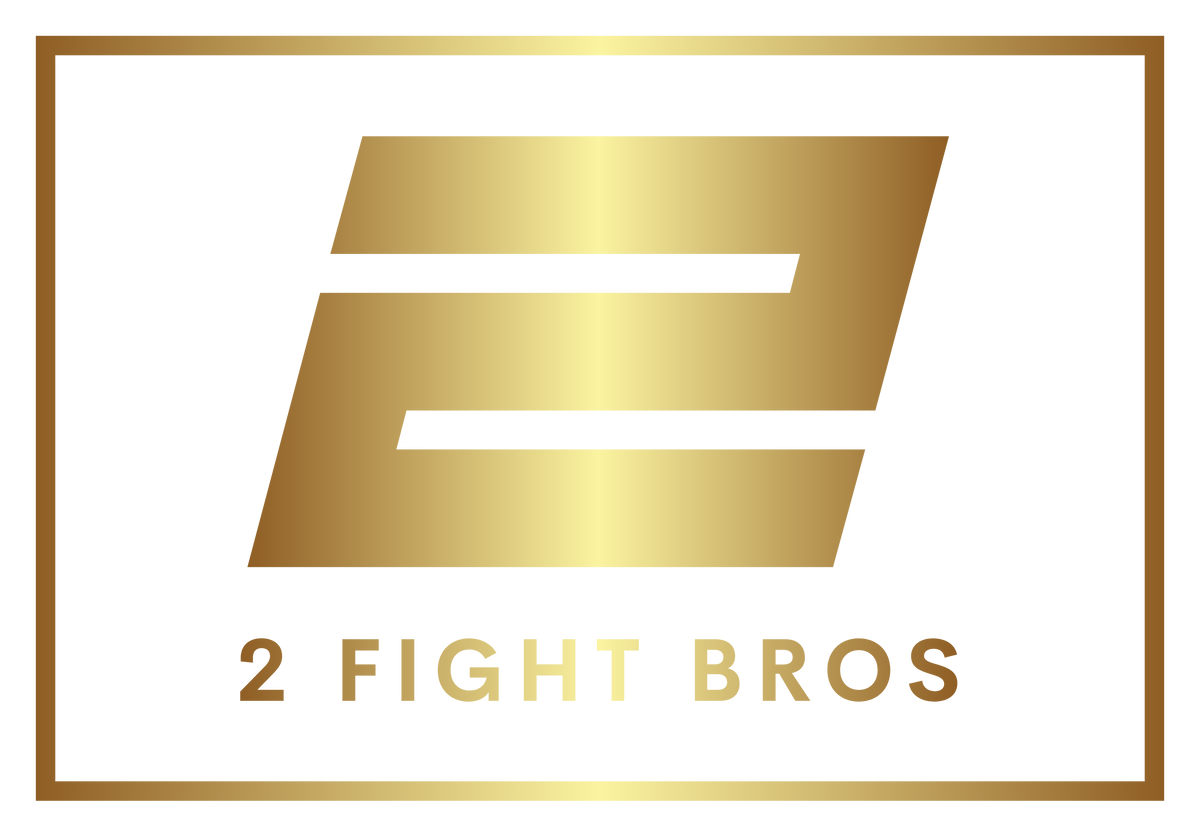 2 FIGHT BROS